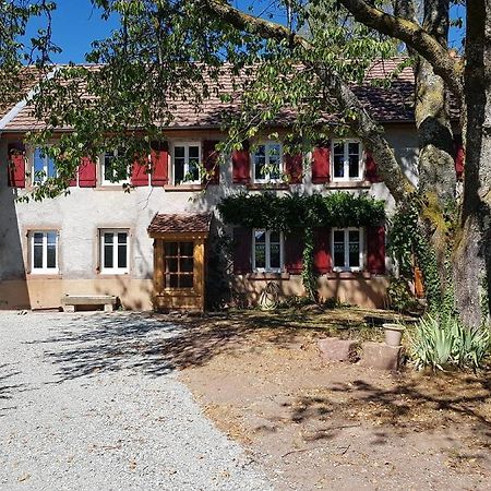Rougegoutte Le Jardin Des Gouttes B&B 외부 사진