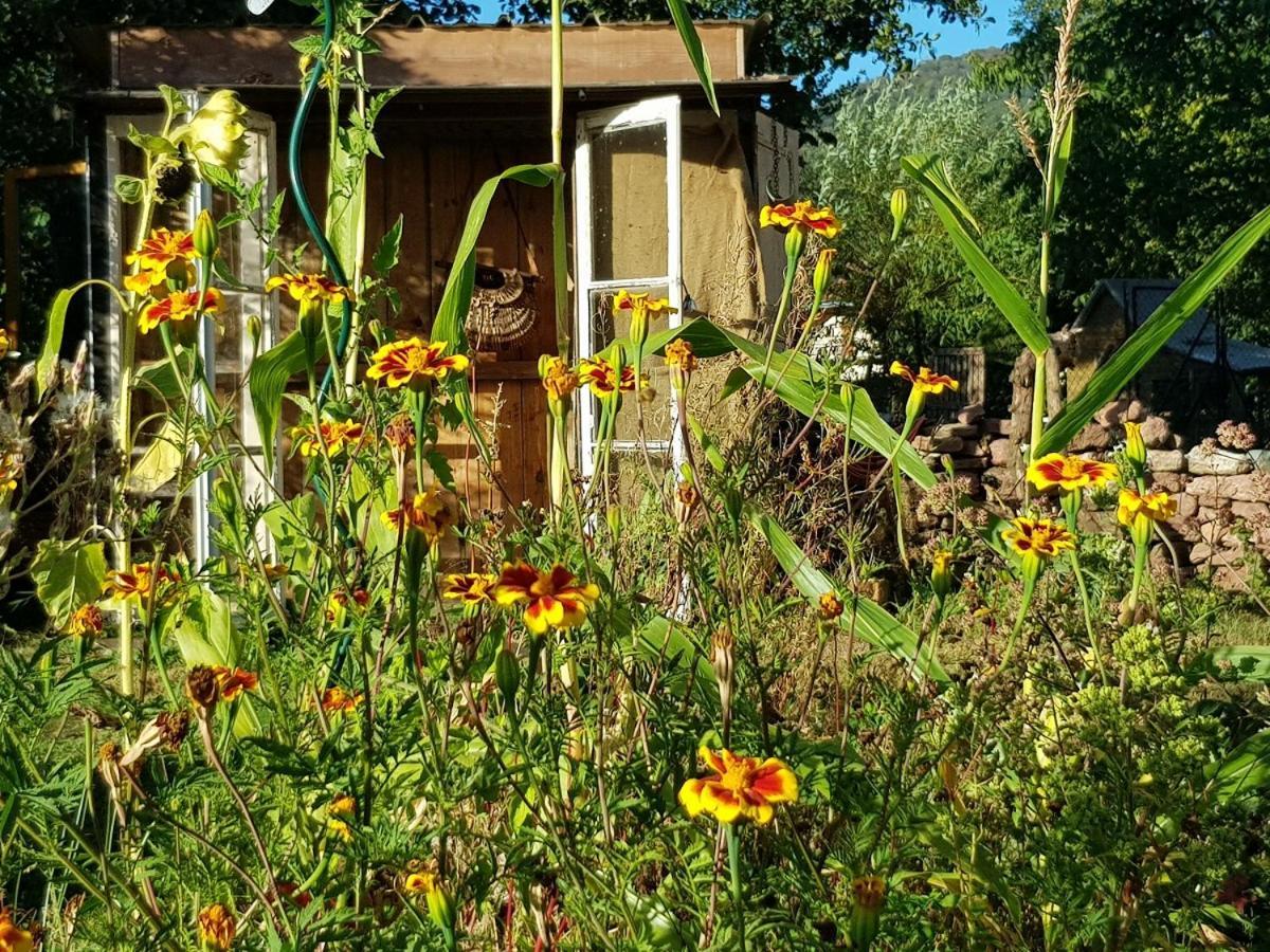 Rougegoutte Le Jardin Des Gouttes B&B 외부 사진